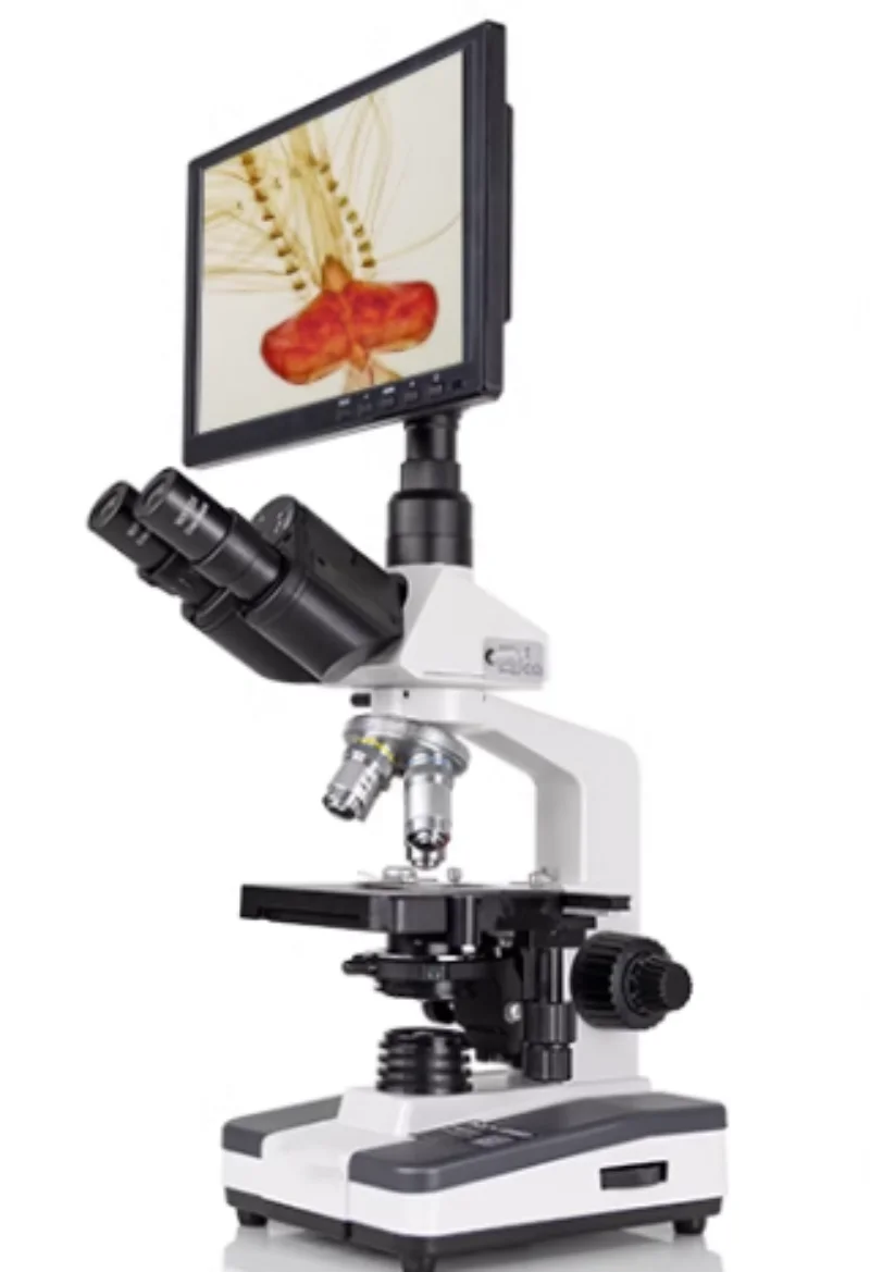 

Biomicroscope,UBM,OLYMPUS, Biological microscope HD 1600x display screen, school experiment,HD cell and bacterial observation