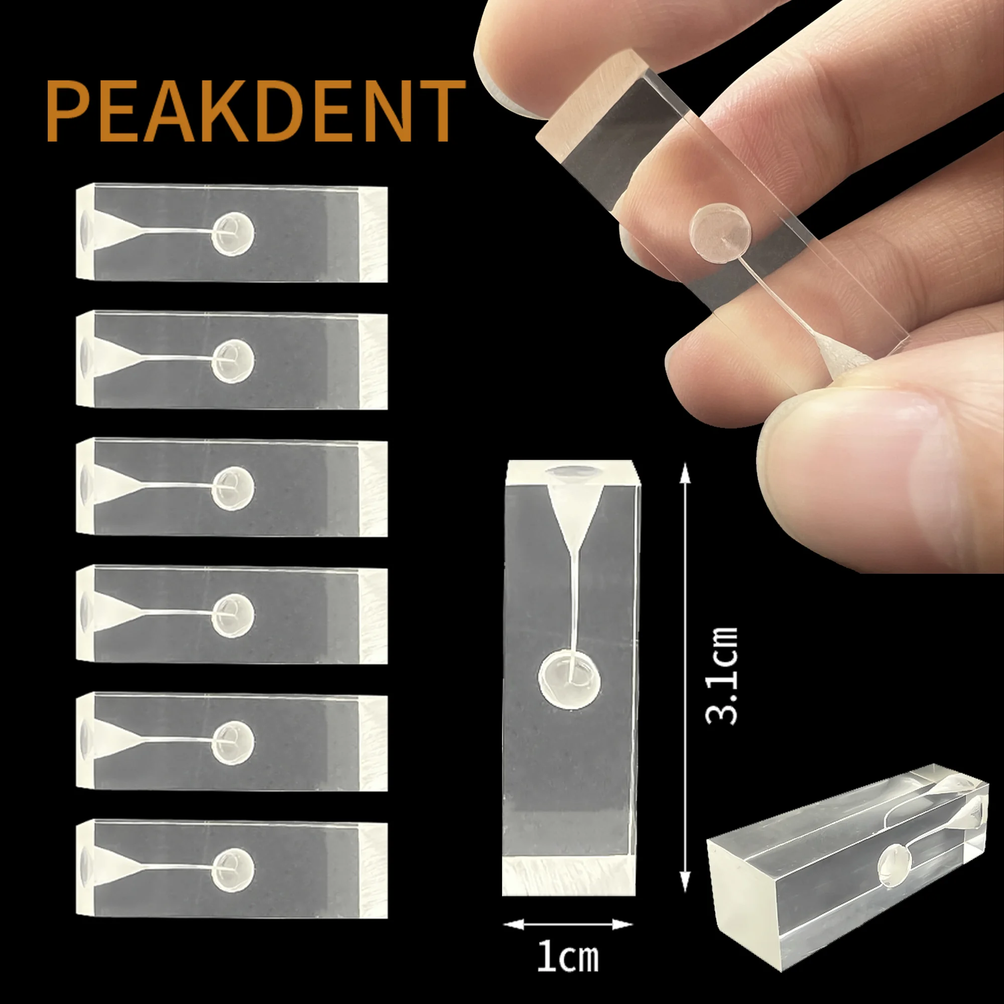 Модель зуба корневого канала зубов эндо-зубы практика RCT целлюлоза прозрачная