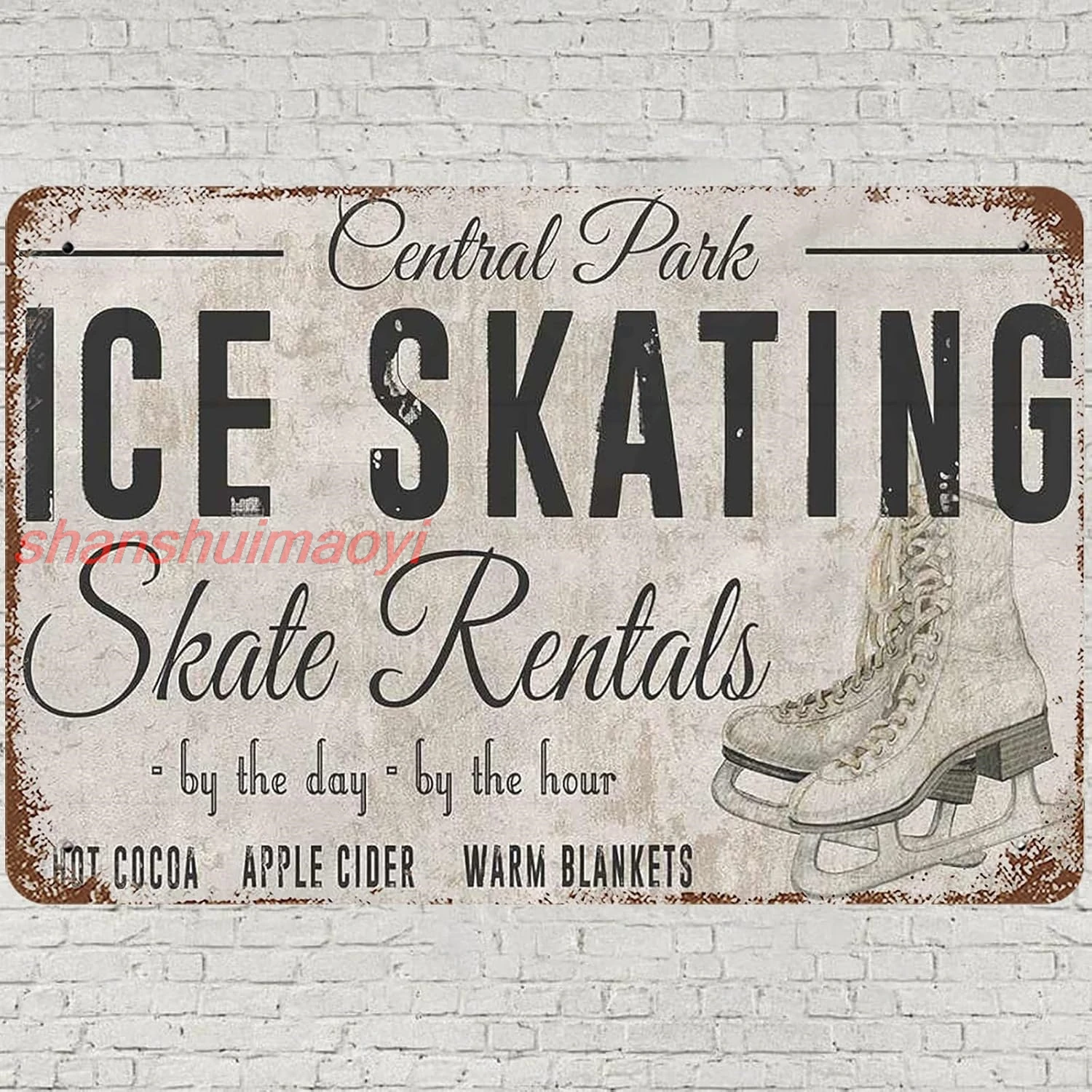Винтажная металлическая вывеска Центральный парк катание на коньках