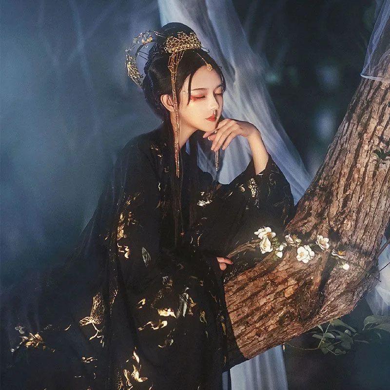 Женский костюм для студентов Hanfu Fengque Pavilion китайской одежды хан Style с высокой