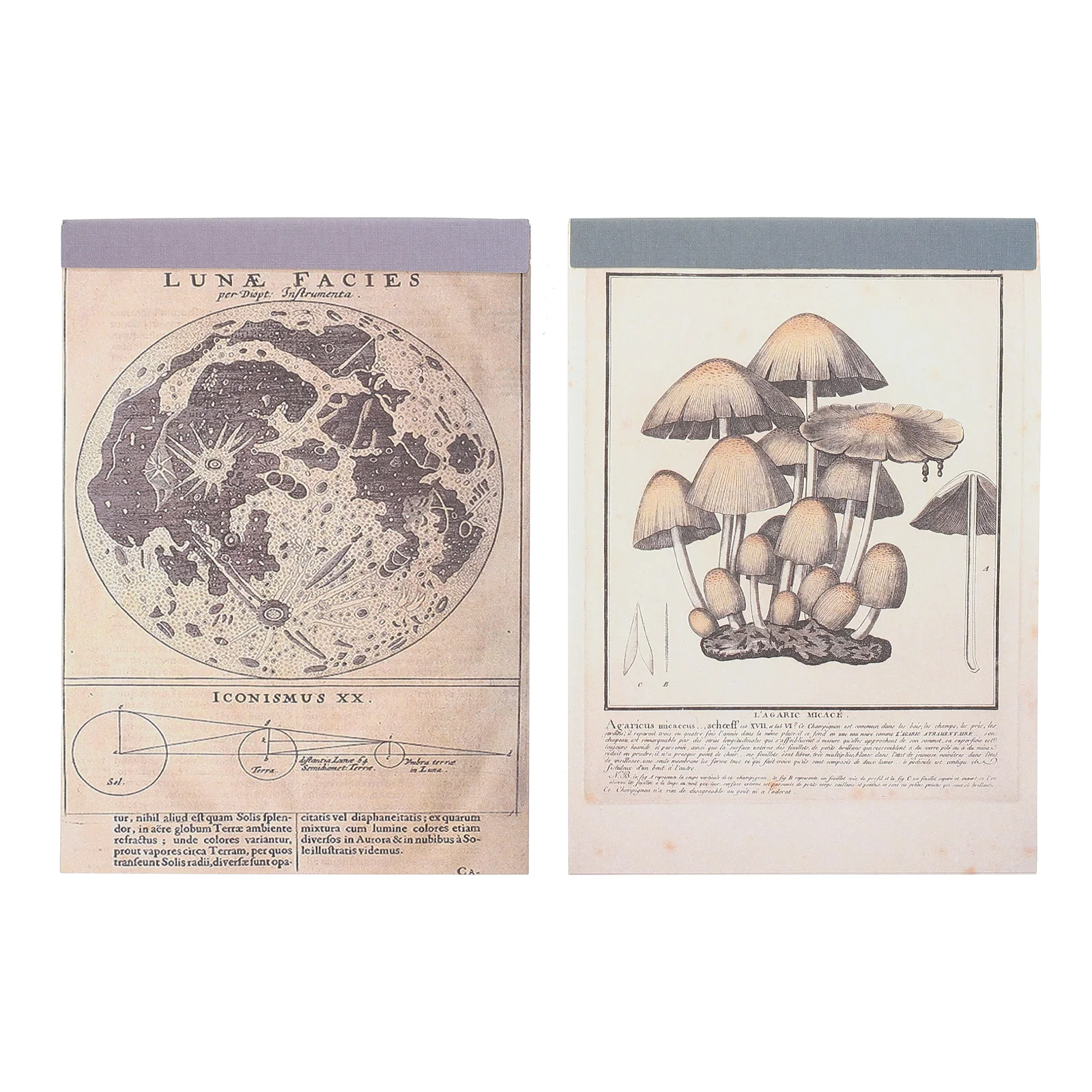 

Paper Journaling Supplies Scrapbooking Material Diy Vintage Journal Retro Antique Decorative Page Scrapbook Papers Stationery