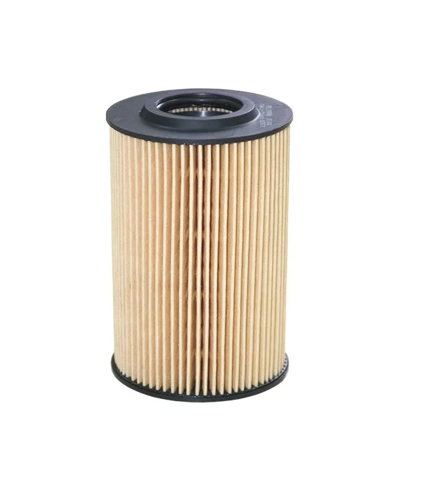 

Filtron VW Amarok 2.0 TDi Oil Filter 2010-2016