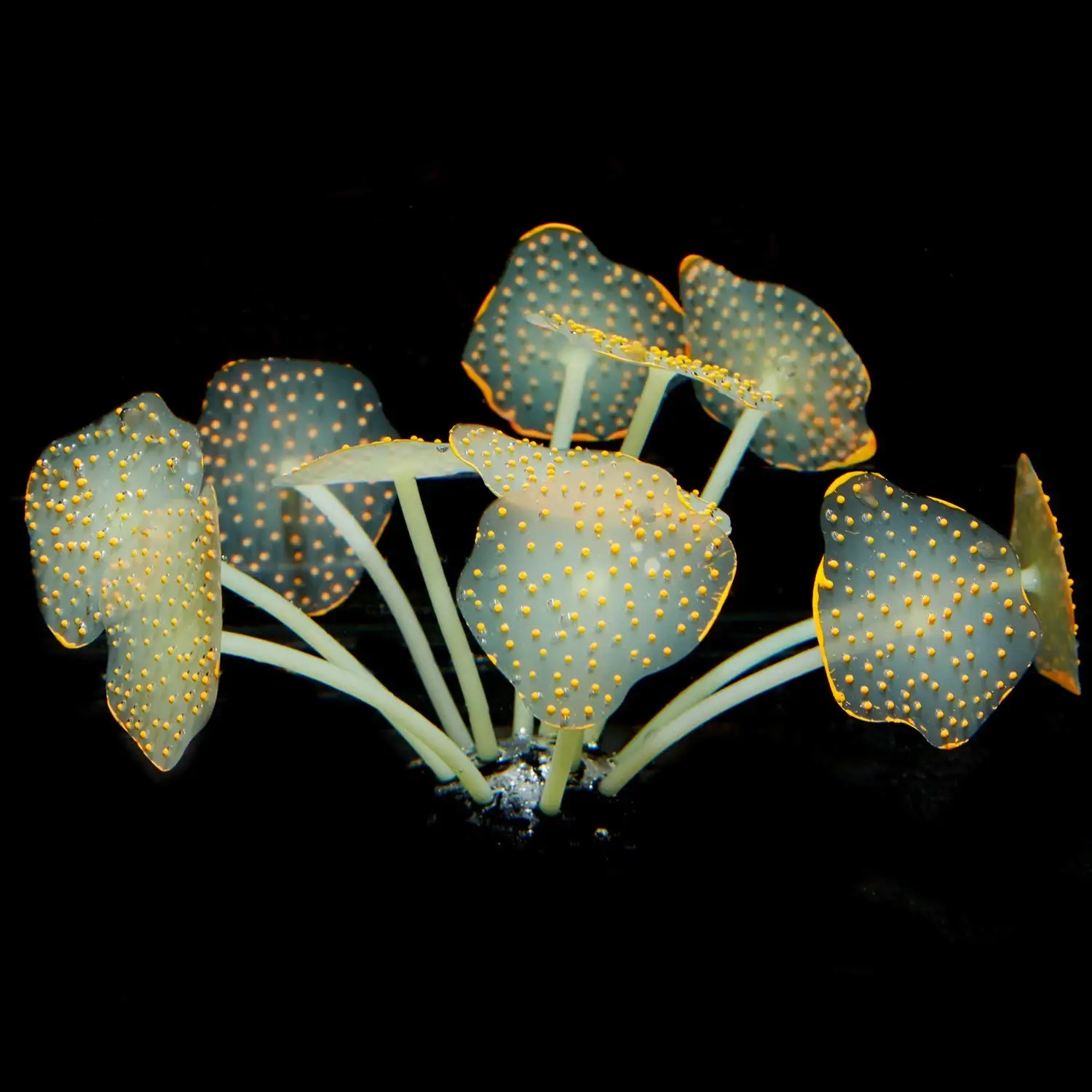 

Silicone Coral Plant Decorations Glowing Artificial Ornament for Fish Tank Aquarium Ball Shape