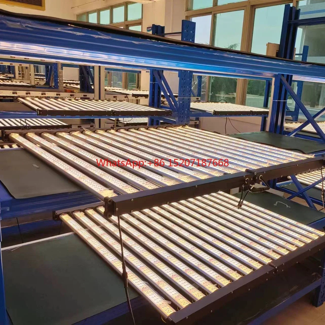 Оптовые светильники для выращивания растений светодиодные полного спектра с