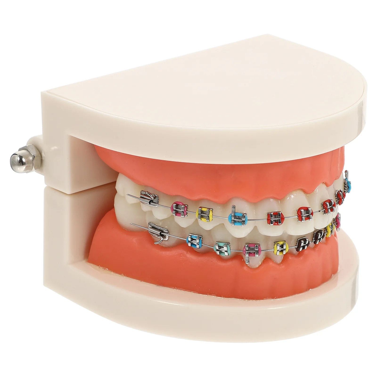 

Модель детских инструментов Стандартный зубной обучающий стандартный тип ротовой шов модели поезда ПП Детская модель для детей