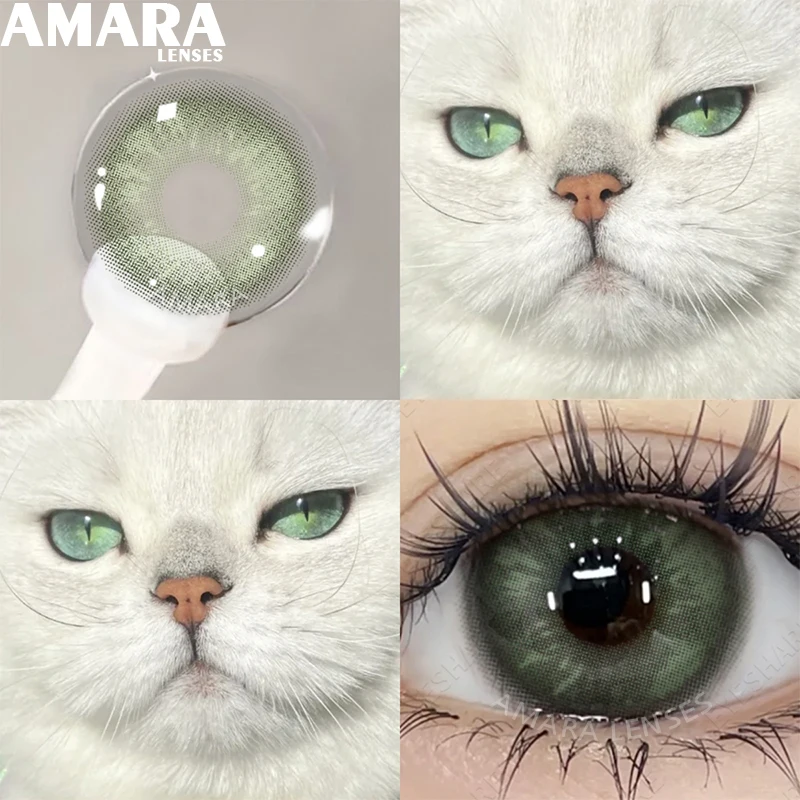 

AMARA 1 Pair Green Contact Lenses Color Lenses Colored Contact Lenses for Eyes Blue Eye Lenses Fog Pearl Lenses Eye Cosmetics