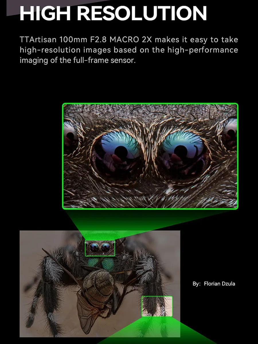 TTArtisan 100 мм F2.8 Macro 2x полнокадровый объектив DSLR для Canon Sony FujiNikon съемки насекомых