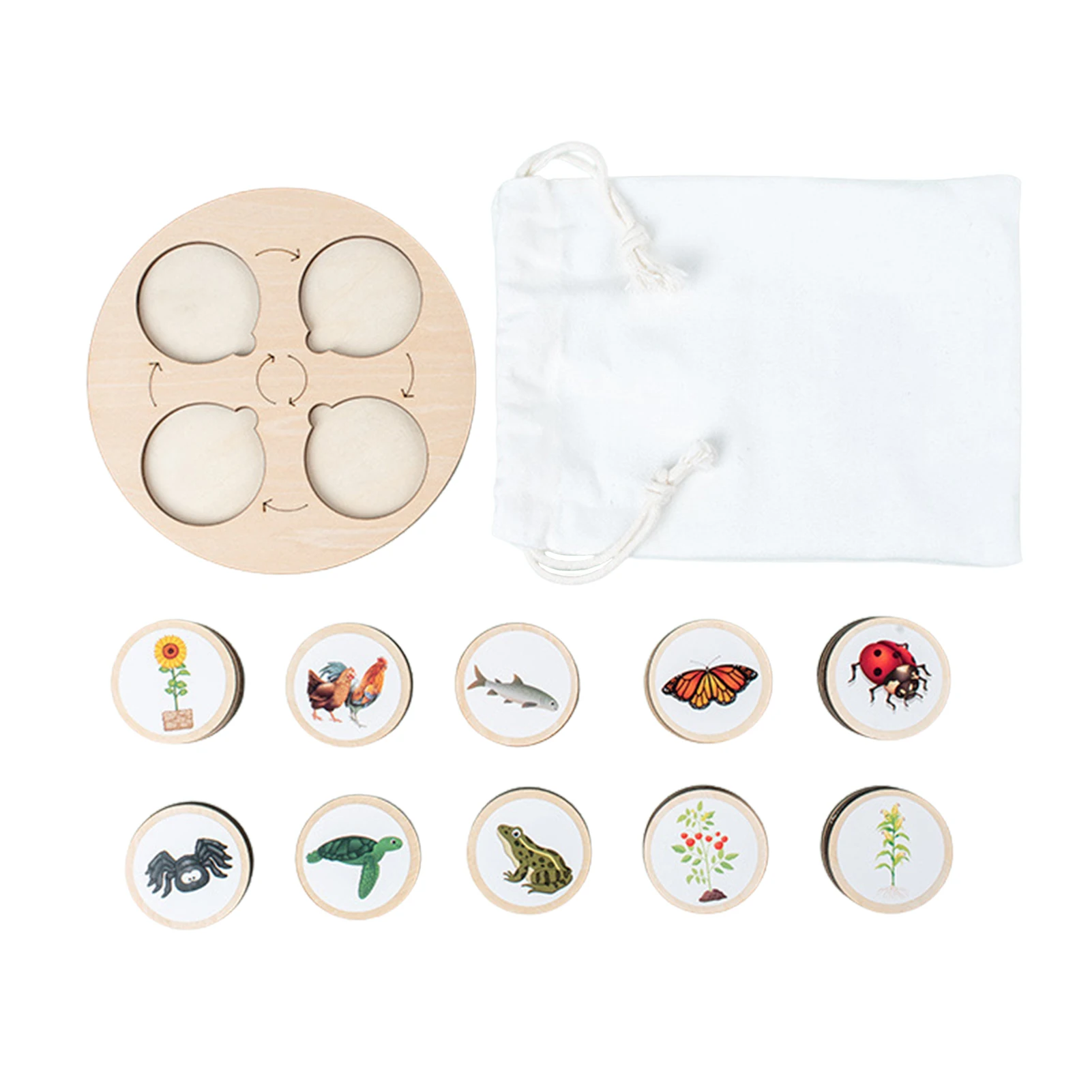 

Life Cycle Puzzle Kit Life Cycle Puzzle Kit Of Animals Plants And Insect Wooden Jigsaw Puzzles With Five Grid As Early