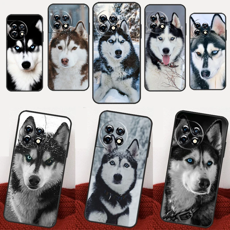 Чехол с изображением животных волка собаки хаски для OnePlus 11 10 8 9 Pro 9R 9RT 8T 10T Nord 2T CE 2 3 Lite N100 N30 N20 N10