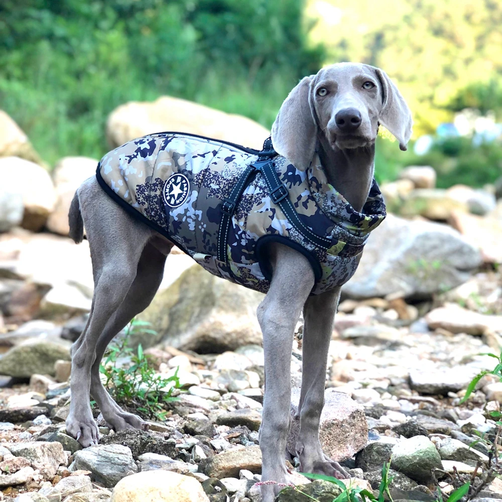 

Autumn Winter Camouflage Gray Pet Clothes Chest And Back Integrated Dog Cotton Coat Outdoor Dog Charge Coat Camouflage Gray