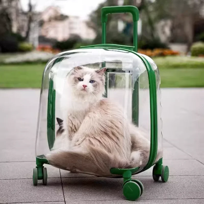 

Прозрачные Прогулочные коляски на колесиках, воздухопроницаемые переноски для кошек и прогулок