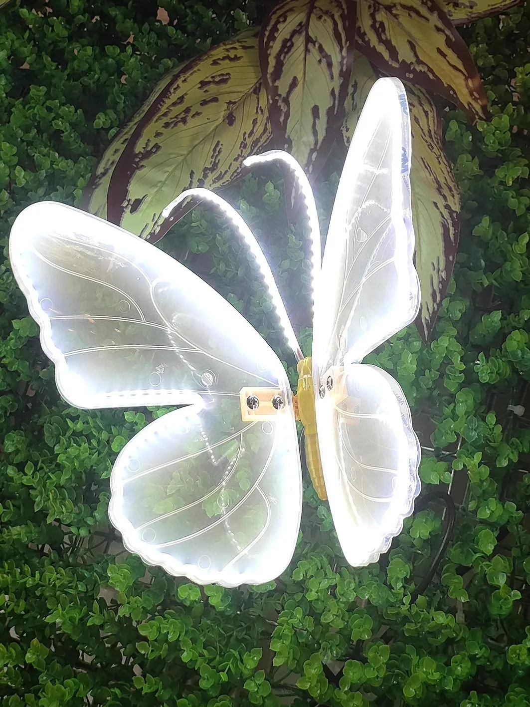 

LED декоративные бабочки для праздника