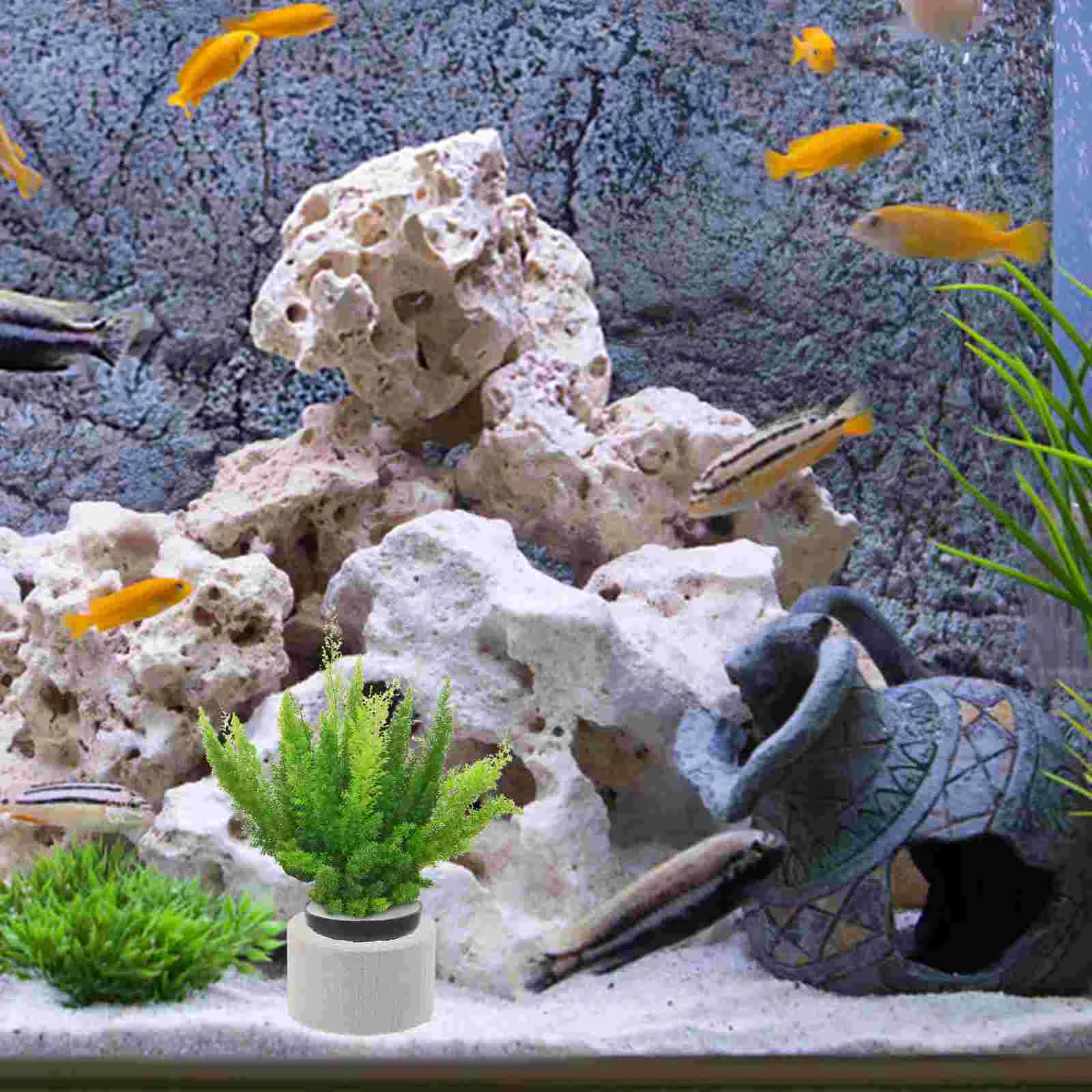 

5 Sets Ceramic Plant Pot Planting Accessory Water Plants Ring Aquatic Fish Tank Decors Plastic Tool Fixed Rings Gravity