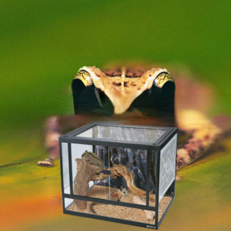 

Rectangle glass pet tank, Reptile cages terrariums, Reptile/Terrarium pet tank