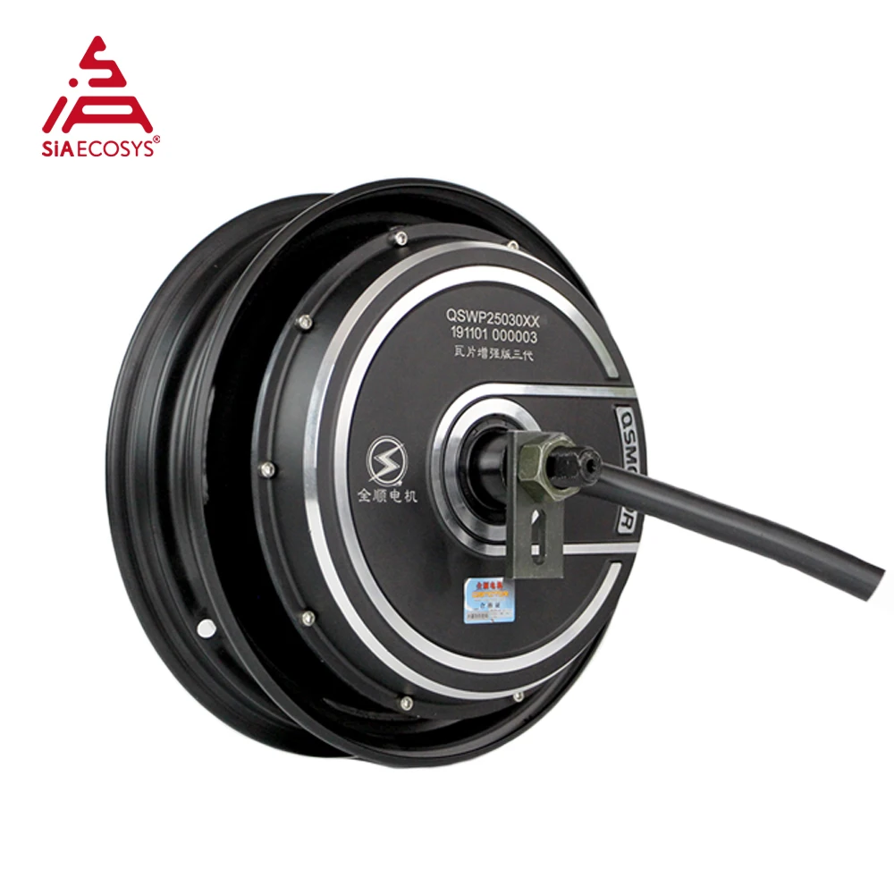 QS MOTOR 10 дюймов 212 2500 Вт V4.2 DC бесщеточный гоночный электрический мотор-концентратор