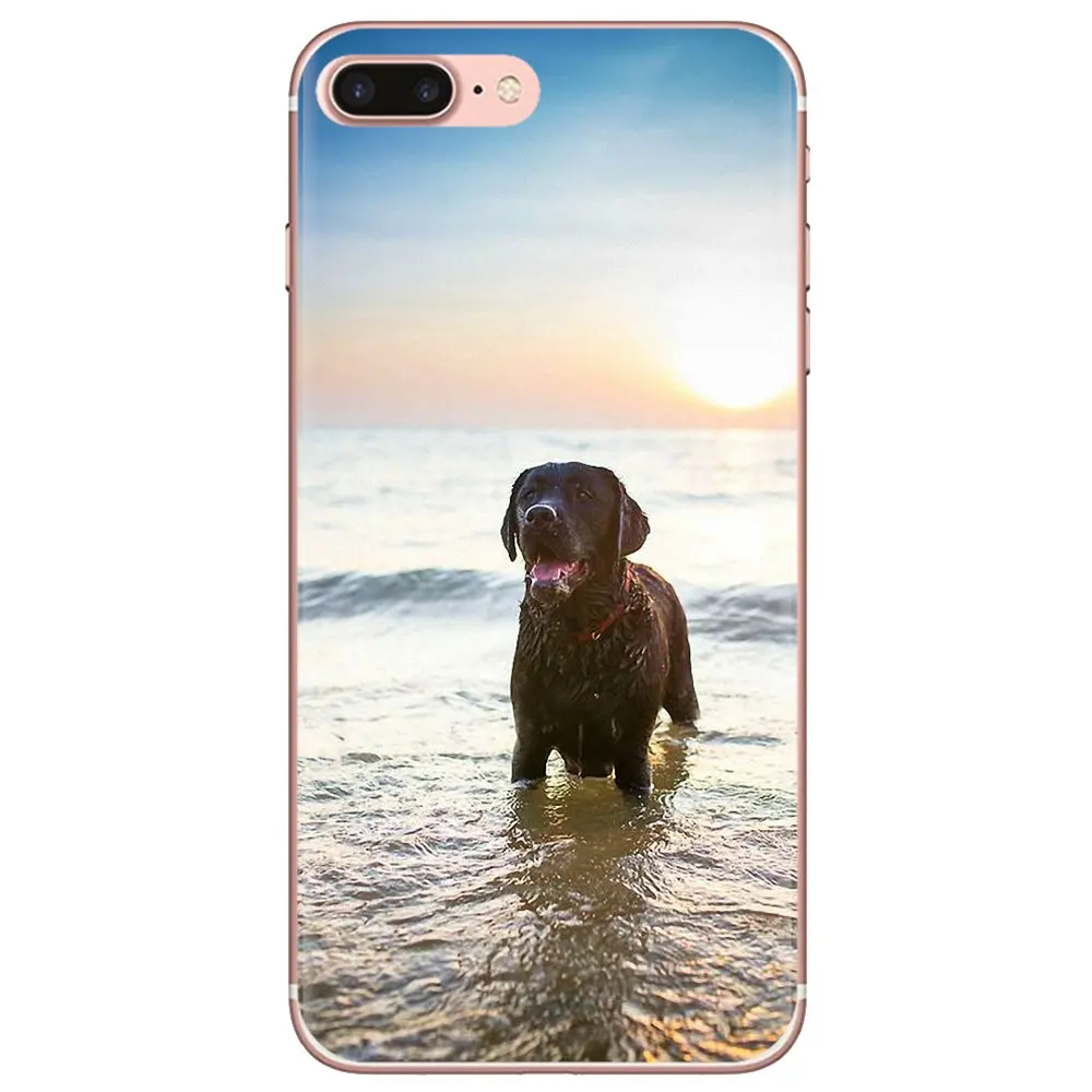 Hello Black Lab щенок Лабрадора для iPod Touch iPhone 10 11 12 Pro 4S SE 5C 6 6S 7 8 X XR XS Plus Max 2020 корпус |