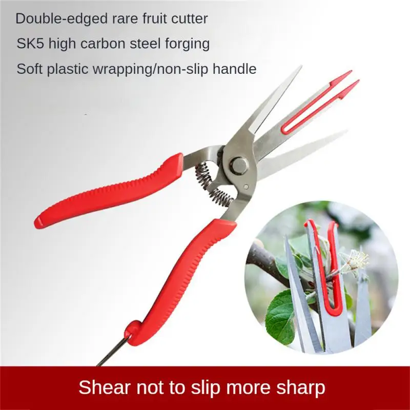 

Fruit Picking Scissors Garden Tools Double-edged Apple Picking Scissors Kiwi Pear Thinning Scissors Yangjiang Double Mouth Thin