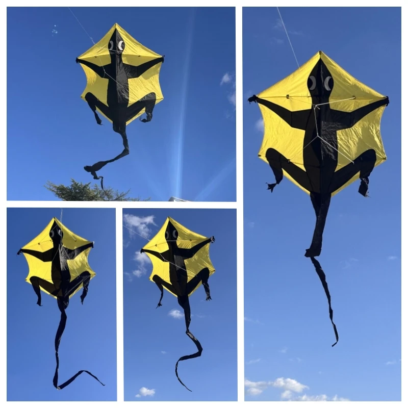 Gecko воздушные змеи для взрослых kites fiying игрушки улицы Красочные Летающие змей