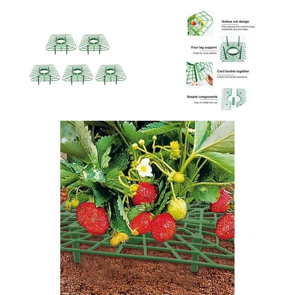 

Strawberry Supports Moisture-resistant Lightweight Hollow Design Plant Supports Plant Supports Strawberry Stand 5Pcs