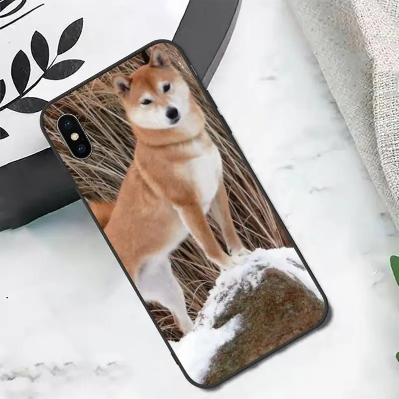 Чехол для телефона Corgi Shiba inu Dog с милыми животными iphone 12 11 13 7 8 6 s plus x xs xr pro max mini |