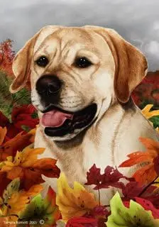 Желтый лабрадор-ретривер Собака Тамара Буркра Осенние листья Садовый флаг