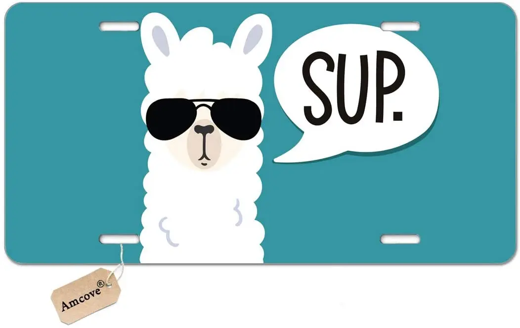 

Забавный номерной знак amбухта, декоративный автомобильный передний номерной знак, бирка для туалетного столика, металлический автомобильн...