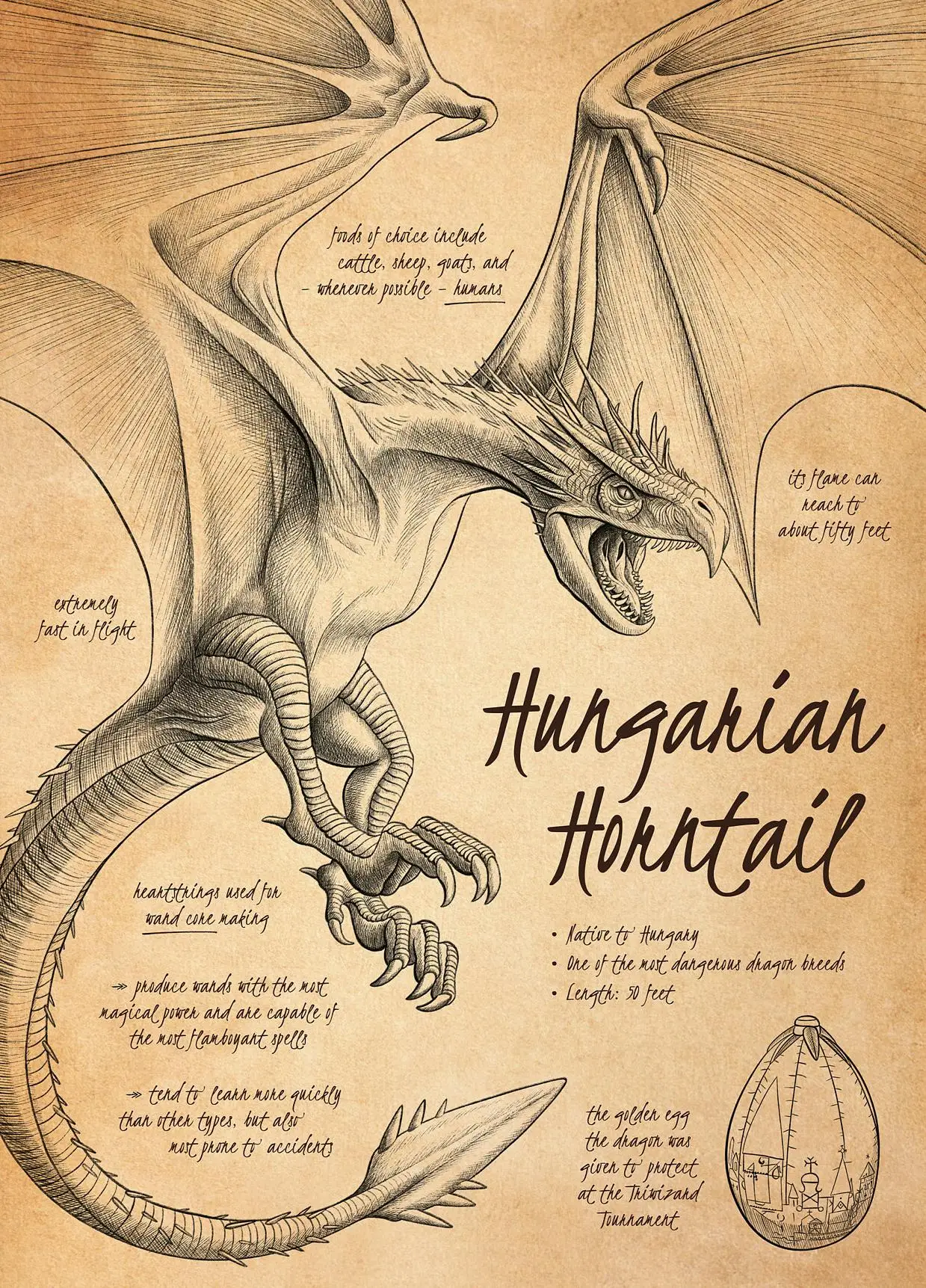 

Мифические существа арт-постер на холсте