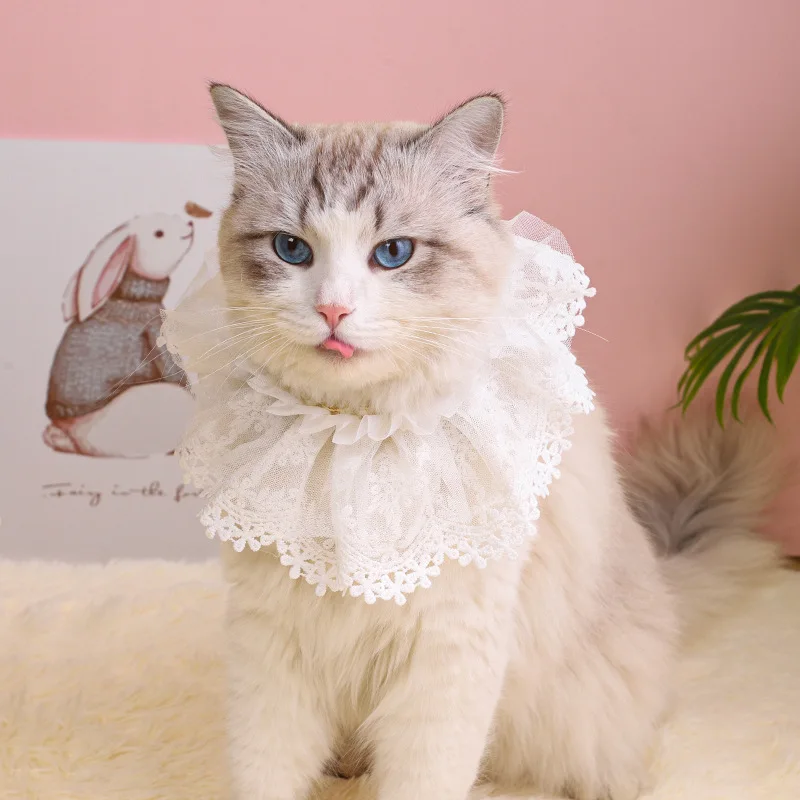 

Cat Saliva Towel Small Fresh Pearl Lace Embroidery Pet Bib Collar Scarf Pet Ornament Scarf Saliva Towel Collar Pet Scarf