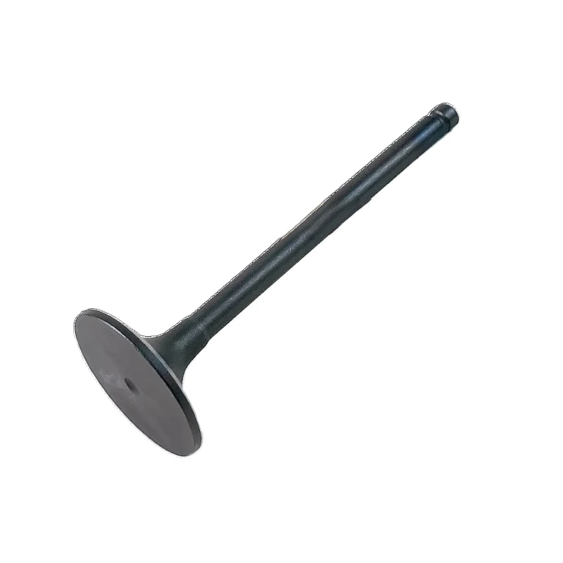 

Запчасти для экскаватора Hb, впускной клапан 3901117 для двигателей Cummins 4b6b