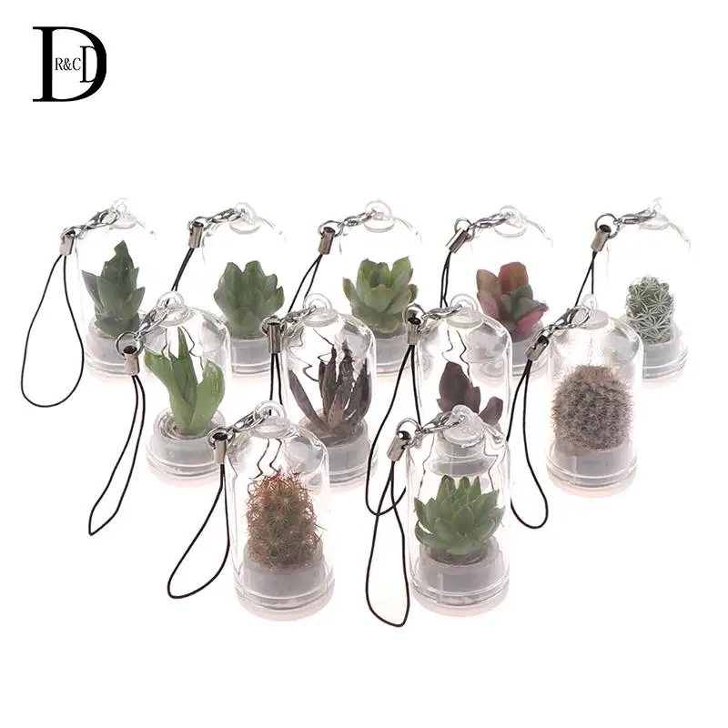 

Cactus Miniature Succulent Cactus Terrarium Wearable Necklace Live DIY Succulent Plant Pendant Random Style