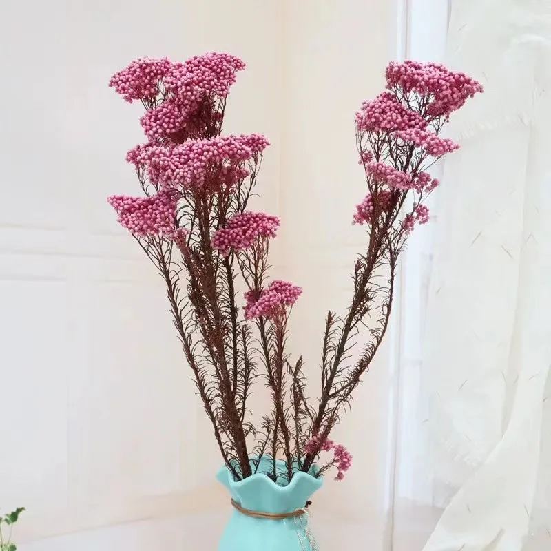 

50g Natural Millet Fruit Dried Flower Artificial Flowers Garden Decoration Outdoor Christmas Ornaments On Offer Free Shipping Pa
