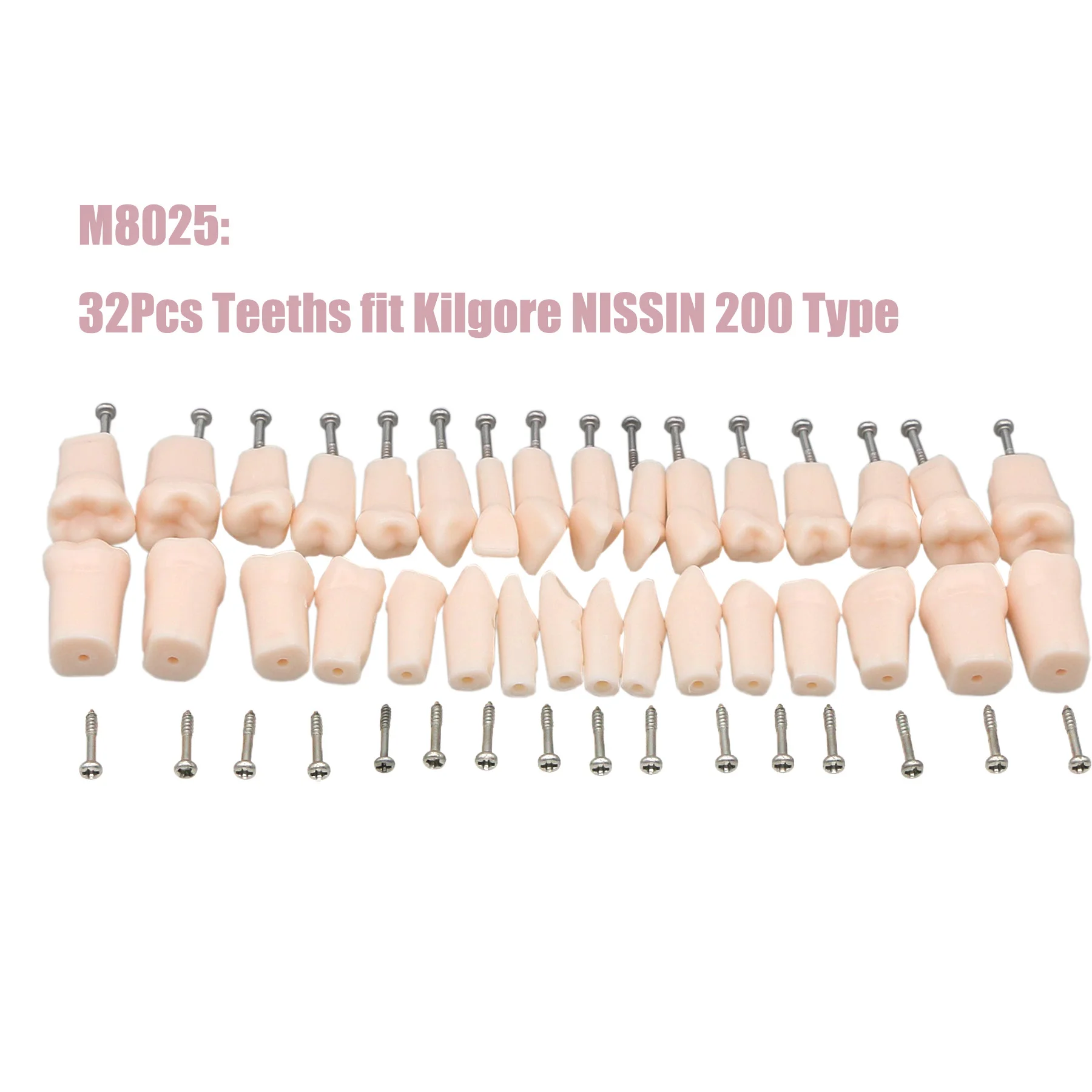 32 шт. Kilgore NISSIN 200 Тип стоматологические модели зубов Typodont для стоматологических