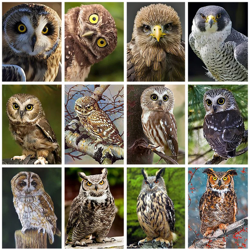 

Diamond Painting New Owl 5D Diamond Embroidery Cross Stitch Animal Rhinestones Mosaic Sale Home Decortion Gift
