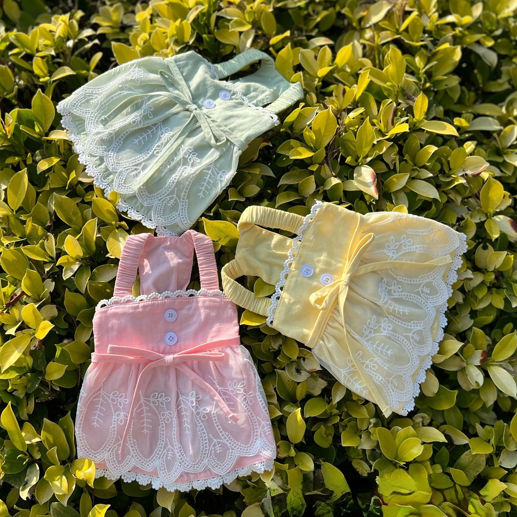 Весенне-летние хлопковые кружевные подтяжки маленькая собака Мальта Бишон