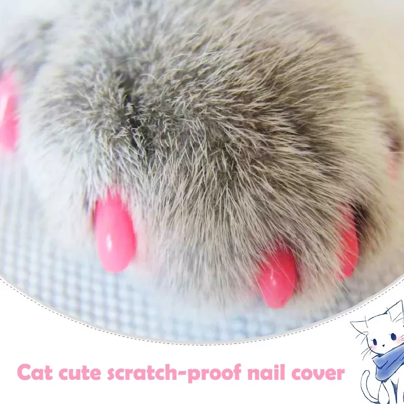 

JMT 20 PCS Silicone Soft Cat Nail Caps Anti- Scratch Colorful Cat Paw Claw Pet Nail Protector Cat Nail Cover Cat Grooming Suppli