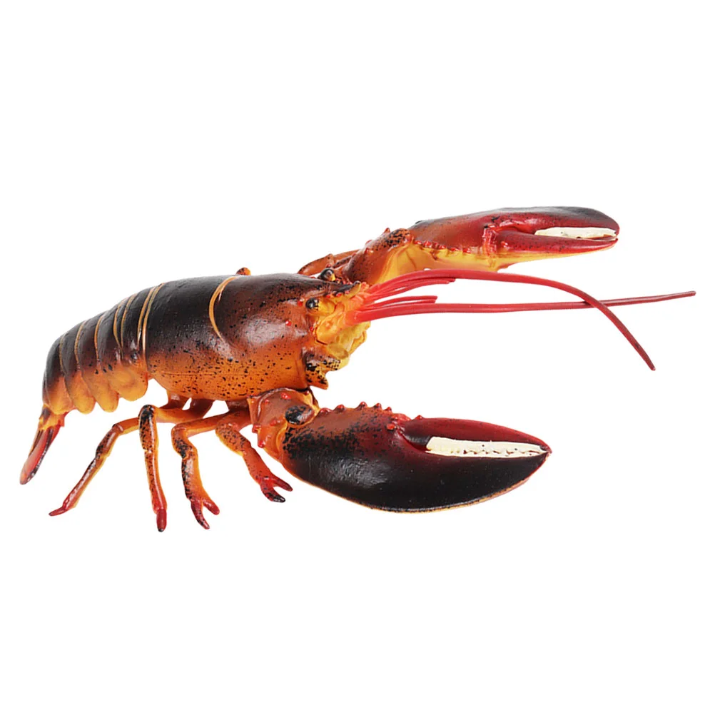 

Lobster Recognition Model Dinner Table Decor Ornaments Simulation Animal Plastic Realistic Figurines Child Sea
