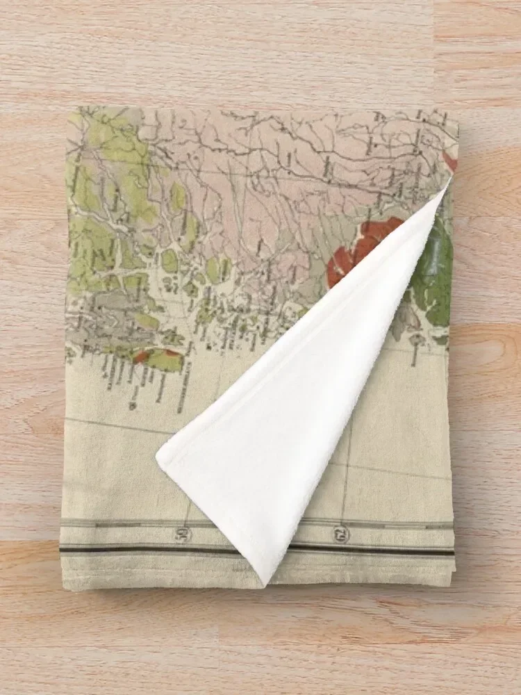 Винтажное геологическое одеяло с картой Норвегии (1878) модные роскошные брендовые