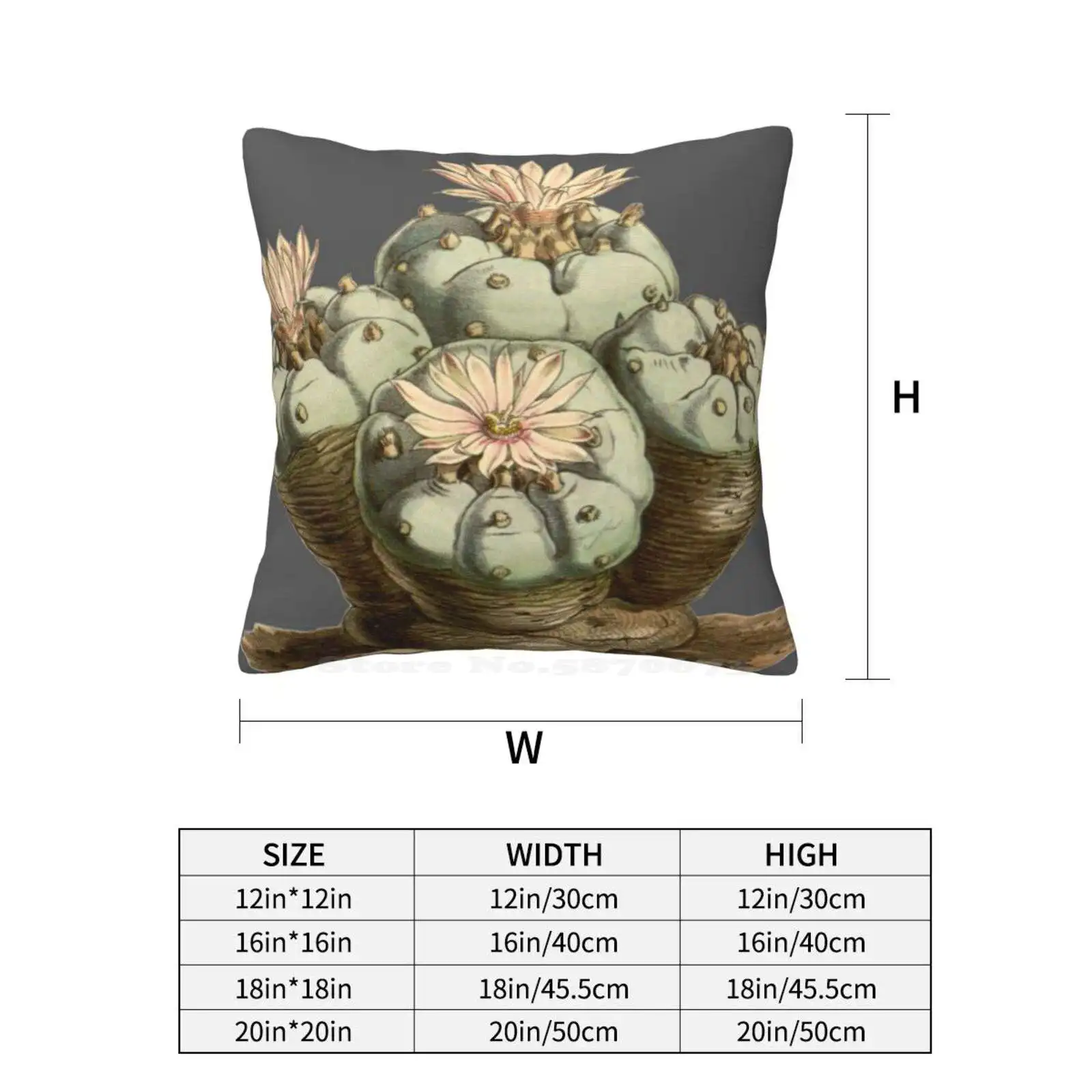 Lophophora Williamsii/Peyote-Античная растительная иллюстрация 1847 наволочка для подушки