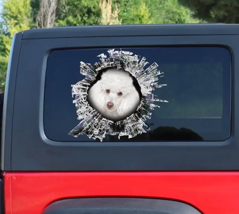 Toy Poodle window sticker, car sticker, Toy Poodle car decal, funny sticker