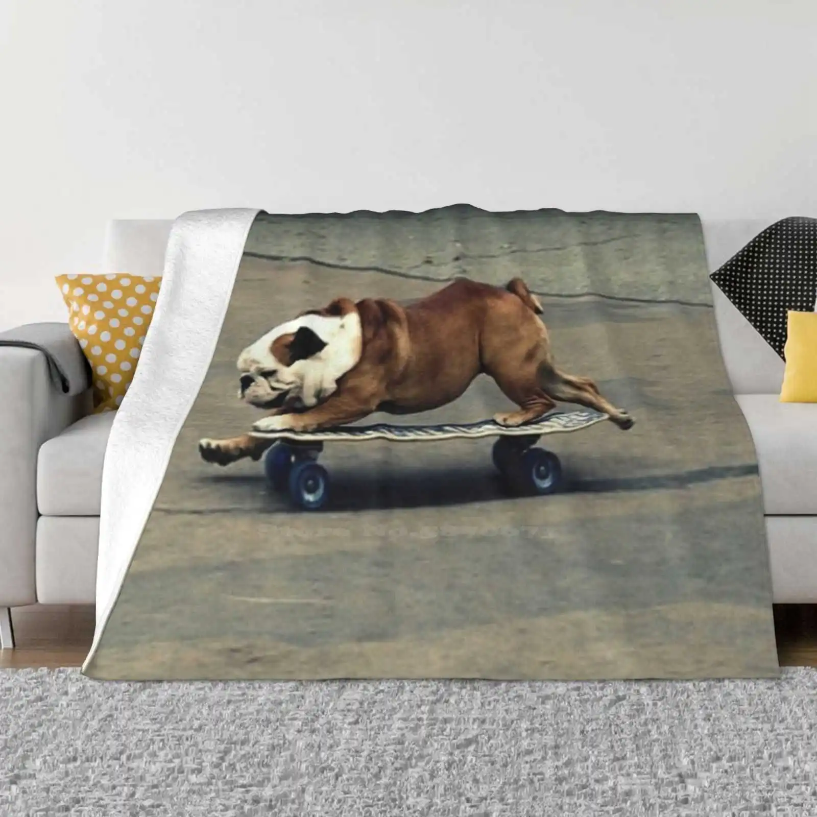 

English Bulldog Skateboarding Soft Warm Throw Blanket English Bulldog Skateboarding Cute Adorable