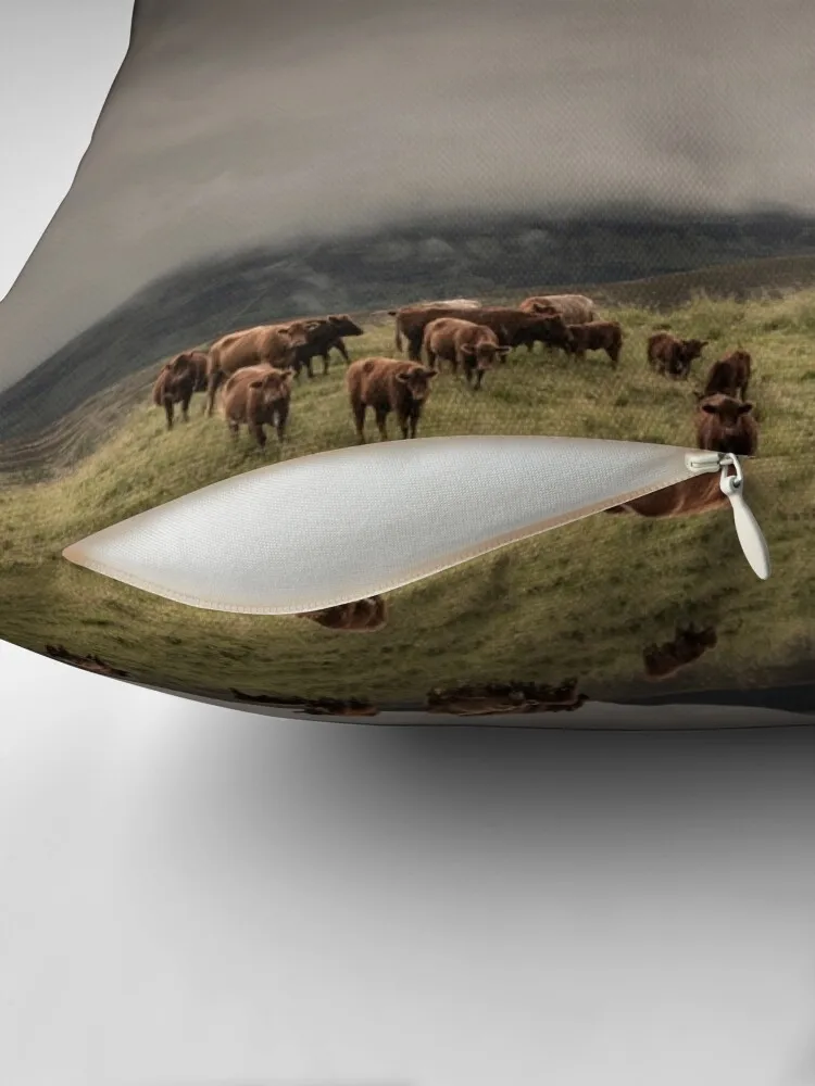 Кос облака и клэги монзи Блэр Атолл рядом с питлохером. Диванная подушка