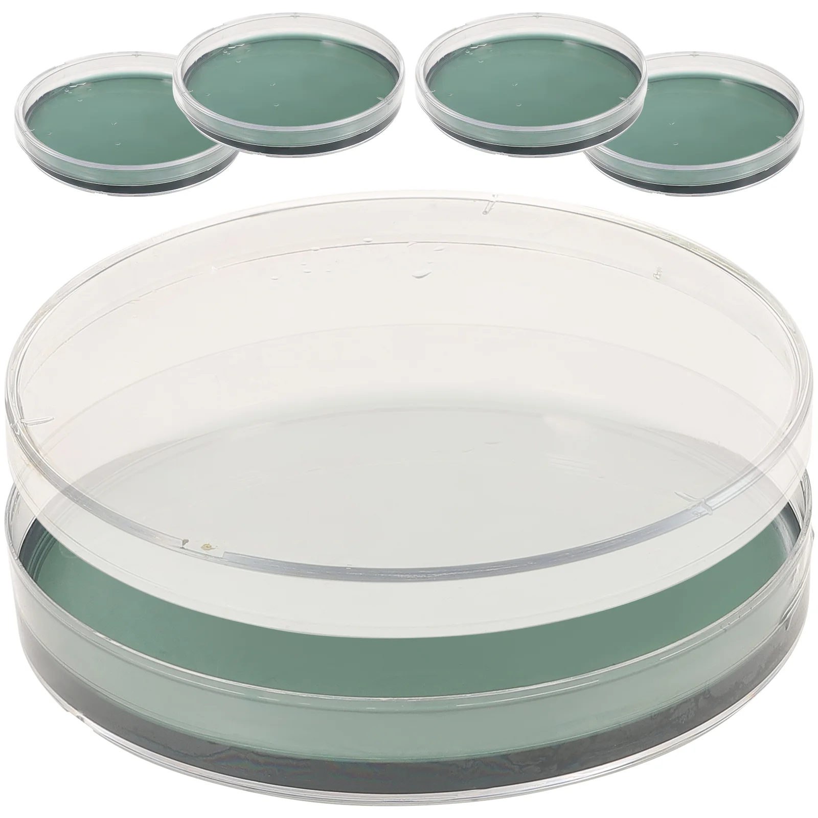 

5pcs Agar Plates Portable Prepoured Agar Petri Dishes Science Fair Projects Supplies