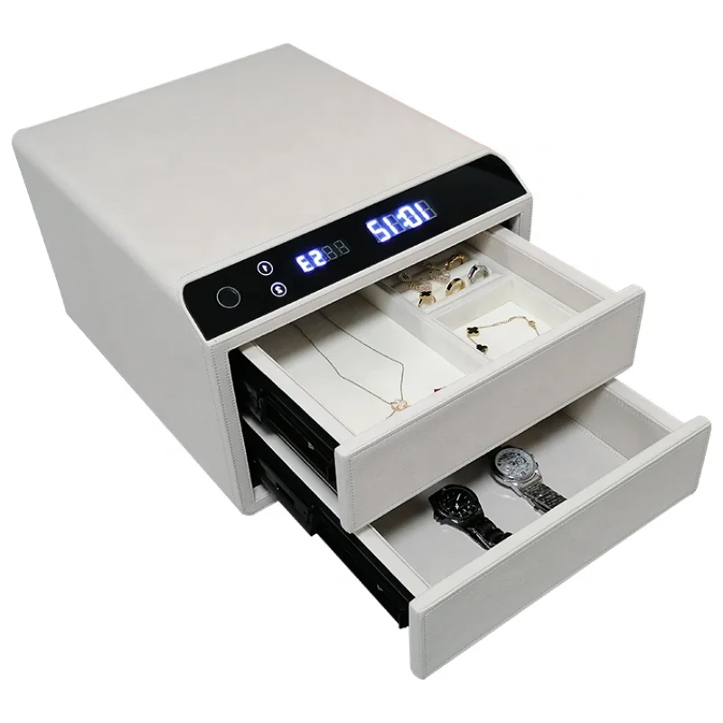 Рисунок 3 - Скрытый умный биометрический Безопасный