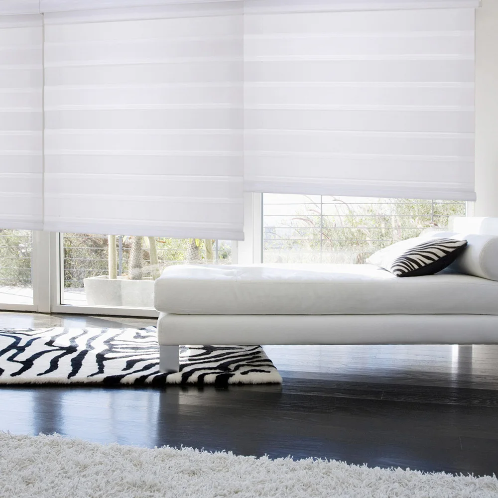 

Electric motorized modern design zebra blinds for window automatic day and night dual zebra curtain