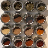 9 magnetic spice tins with plate storage spice rack set of 9 clear top lid and sift and pour shaker made with stainless steel