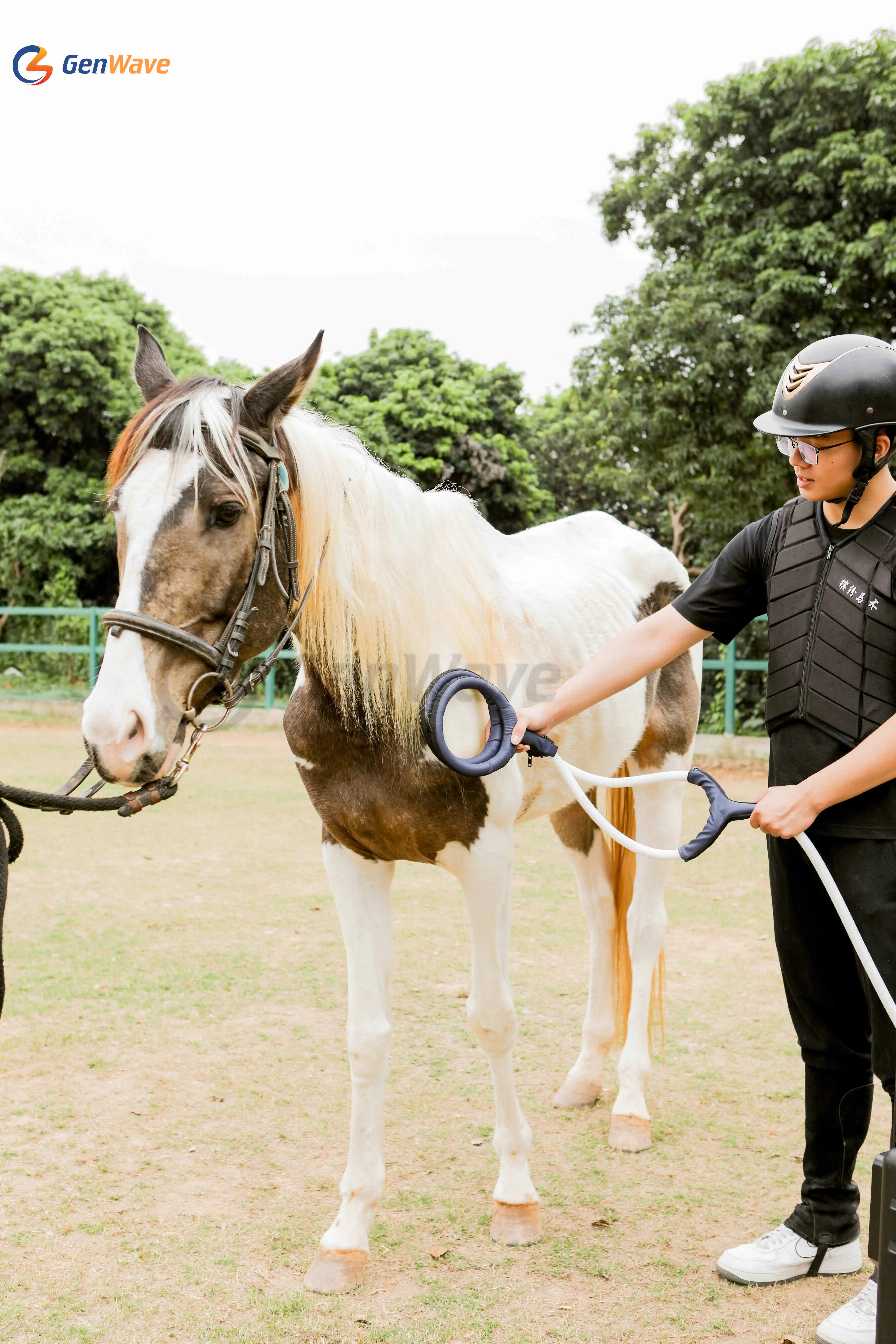 Портативное устройство для магнитной терапии Pmst Loop Horse Magnetic Therapy Machine