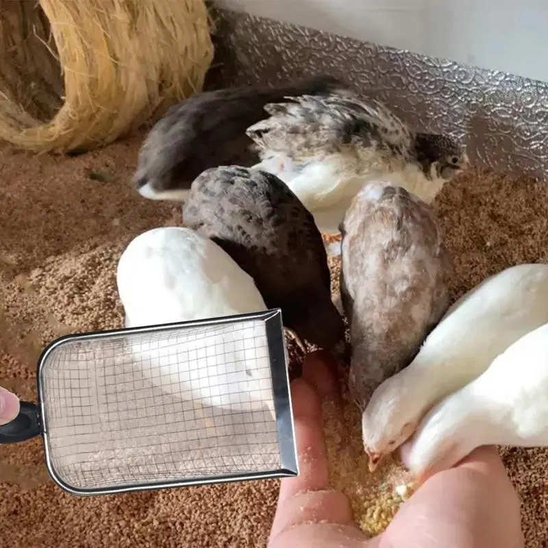 Poop Scoop With Comfort Handle Pet Supplies