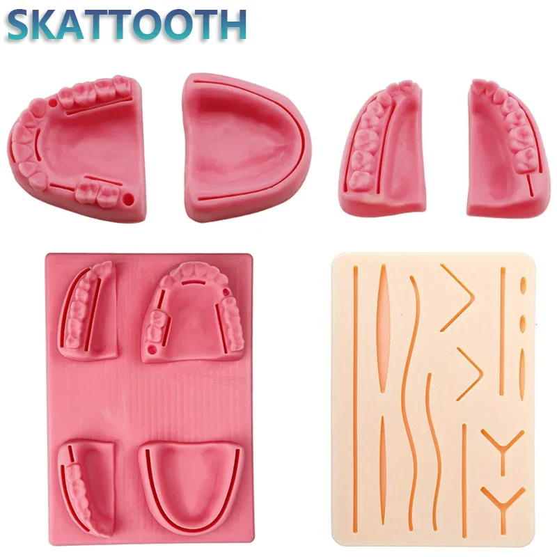 Силиконовая Модель Для Обучения Наложению Зубов Комплект Практики Наложения