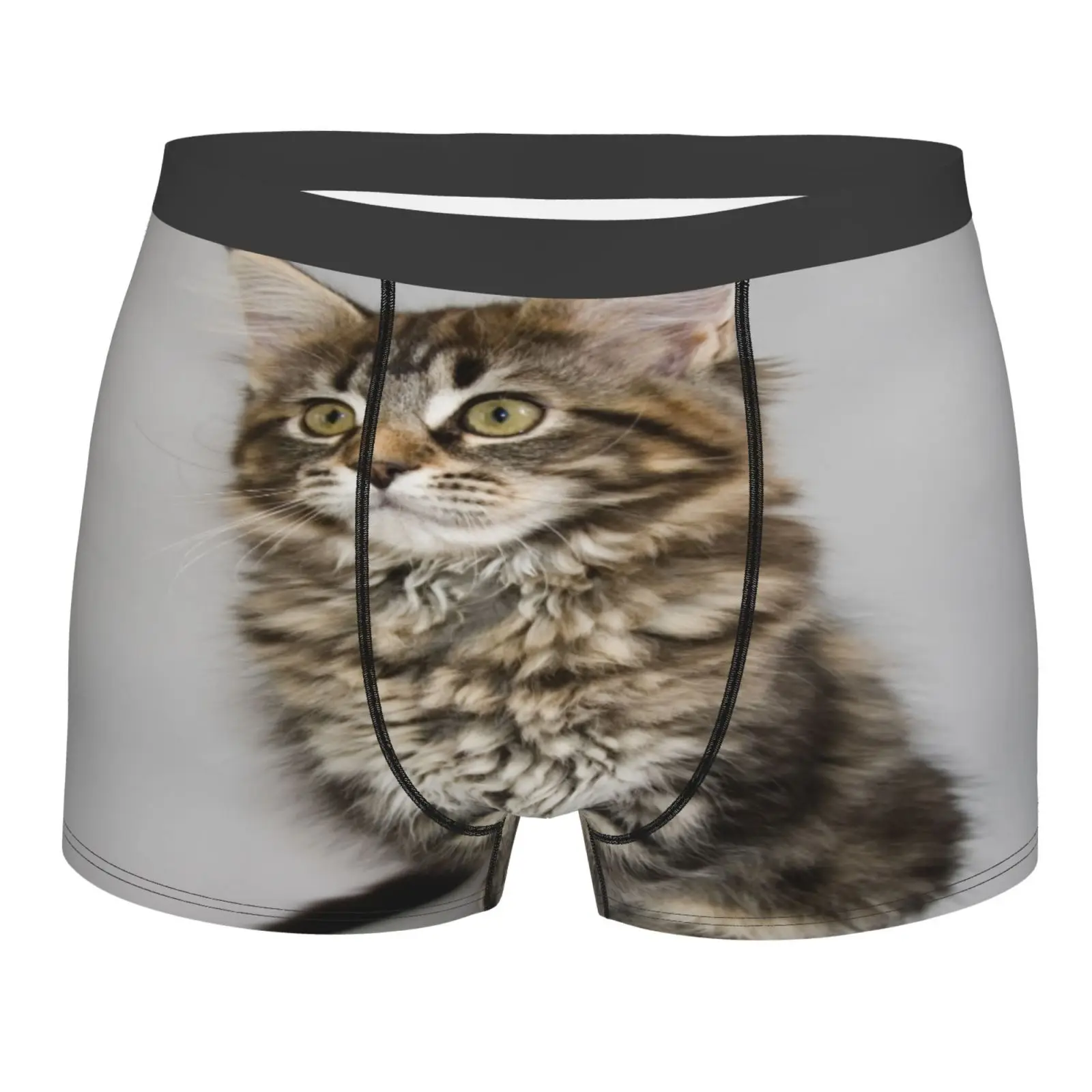 

Maine Coon 1086 Men's Panties Boxer Hombre If U Dare Ware Polyester For Guys Bundle Male Clothes Underwear For Man Pouch Brand
