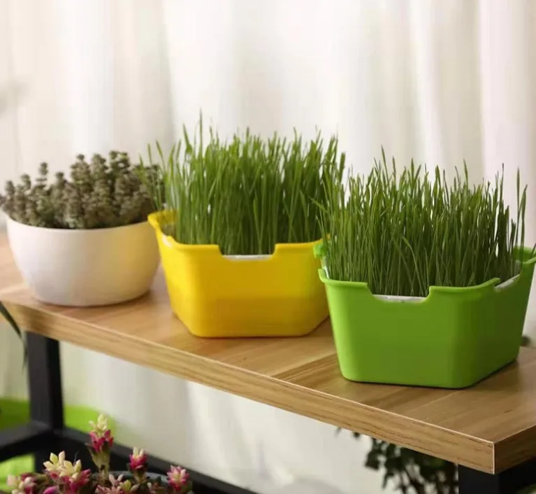 

Лоток для рассады растений, двухслойный ТОЛСТЫЙ цветной пластиковый прямоугольный лоток для балкона Садоводство высадка